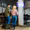 Знищувач комах до 100 м2. Електрична пастка Maltec 30W